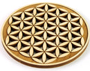 Wandbild Blume des Lebens neu aus Zirbenholz