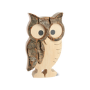 Waldkauz